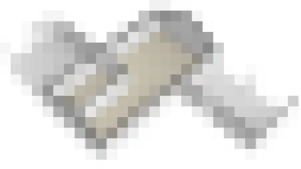 Holtpasweg 3 Beek thumbnail 69
