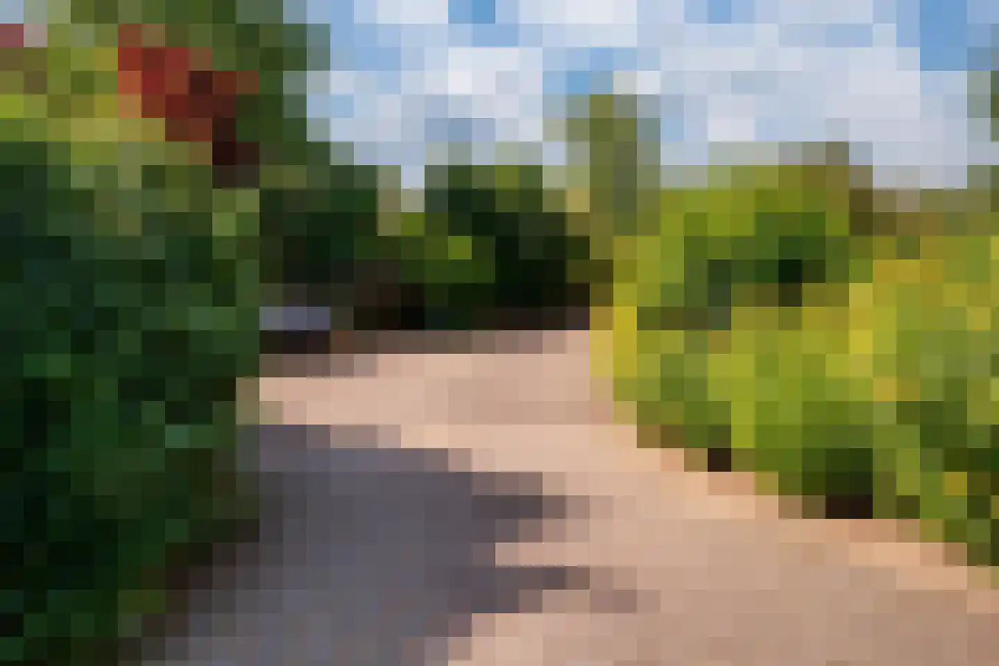 Holtpasweg 3 Beek thumbnail 8