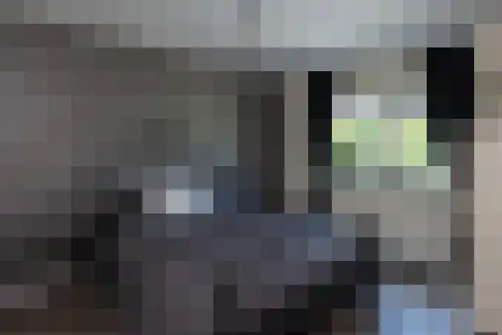 Holtplas 14 Neede thumbnail 15