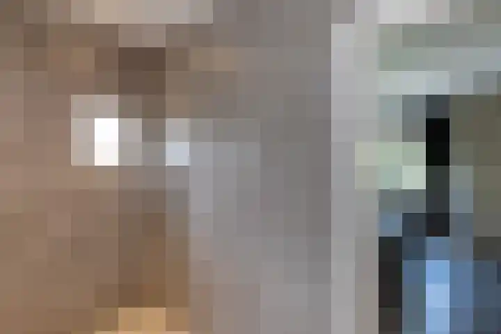 Holtplas 14 Neede thumbnail 17