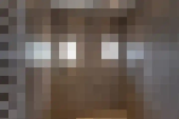 Holtplas 14 Neede thumbnail 18