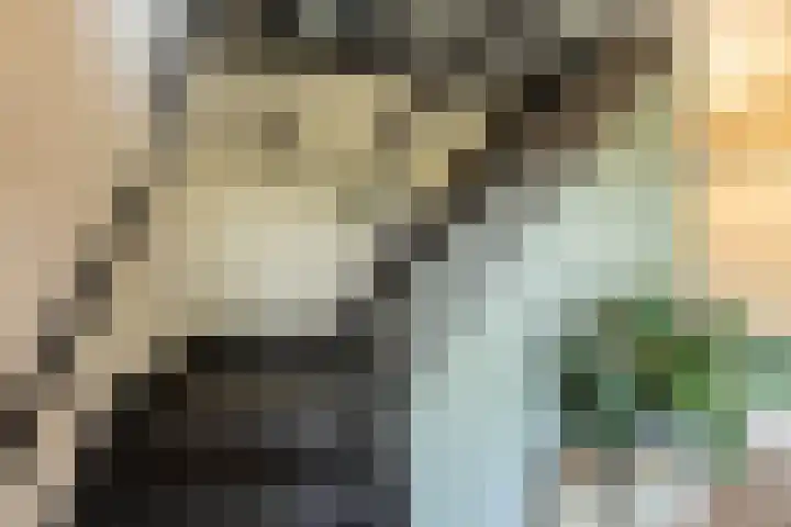 Holtplas 14 Neede thumbnail 22