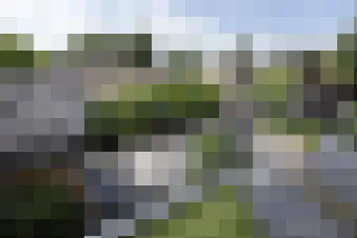 Holtplas 14 Neede thumbnail 28