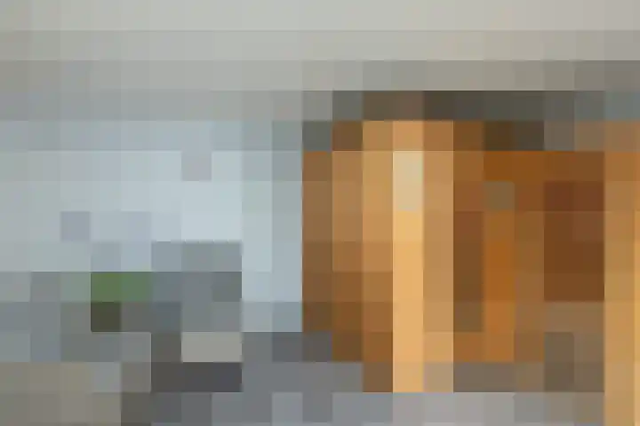 Holtplas 14 Neede thumbnail 34