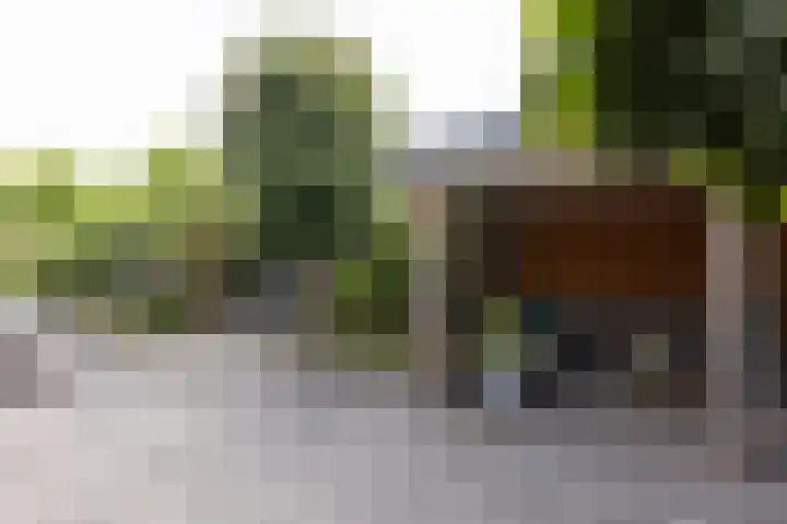 Holtplas 14 Neede thumbnail 37