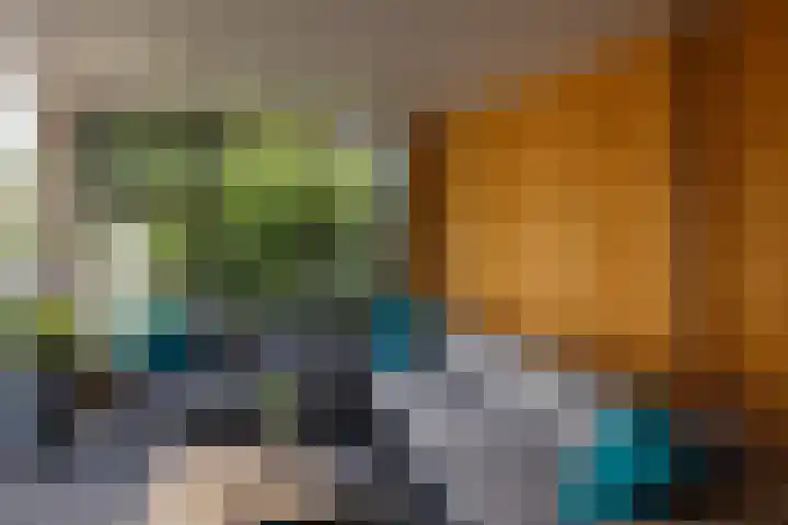 Holtplas 14 Neede thumbnail 38