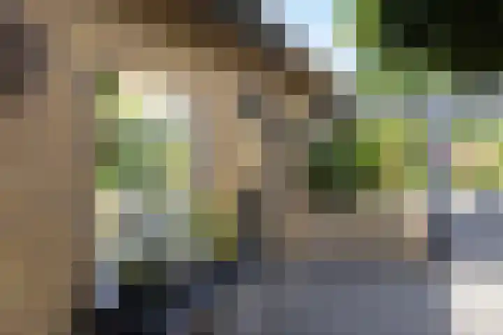 Holtplas 14 Neede thumbnail 41