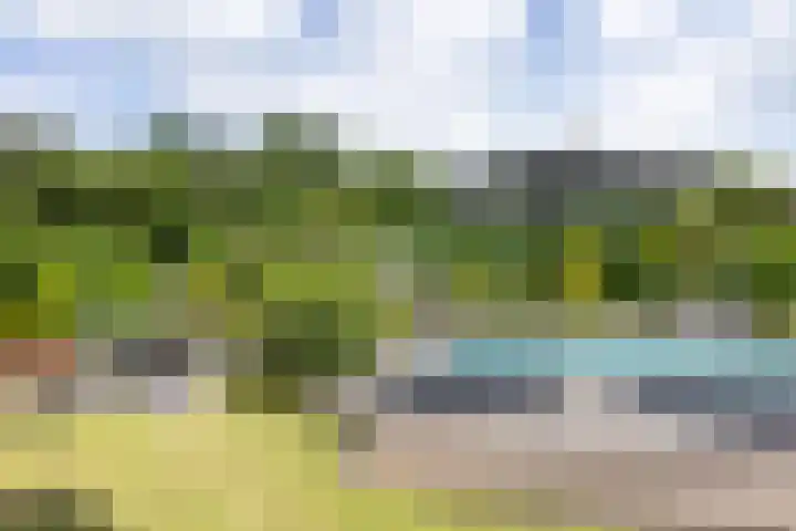 Holtplas 14 Neede thumbnail 46
