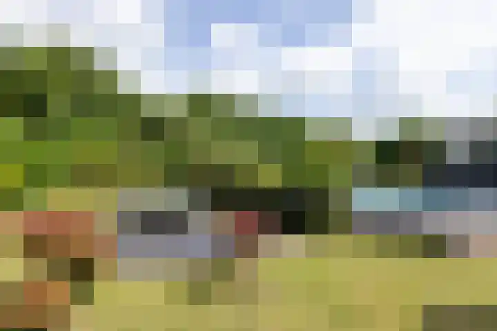 Holtplas 14 Neede thumbnail 47
