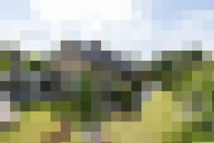 Holtplas 14 Neede thumbnail 48
