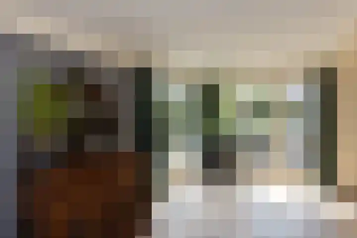 Holtplas 14 Neede thumbnail 5
