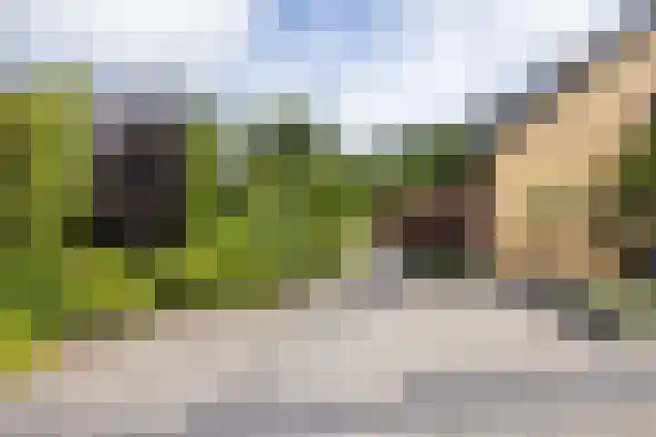 Holtplas 14 Neede thumbnail 50
