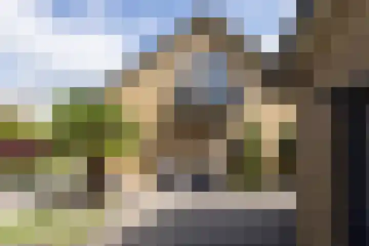 Holtplas 14 Neede thumbnail 51
