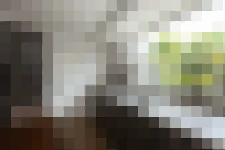 Holtplas 14 Neede thumbnail 9