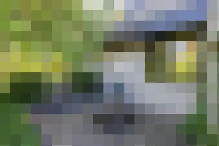 Holtplas 26 Neede thumbnail 30