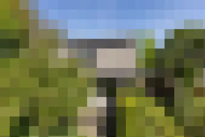 Holtplas 26 Neede thumbnail 35
