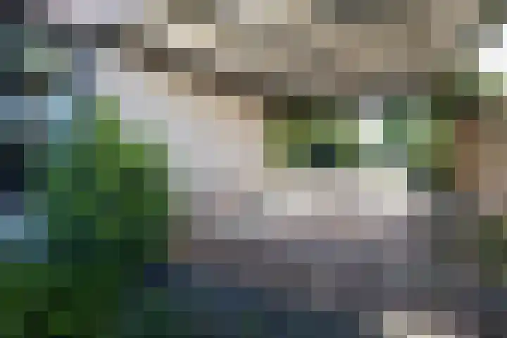 Holtplas 26 Neede thumbnail 38