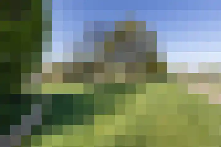 Holtplas 26 Neede thumbnail 39