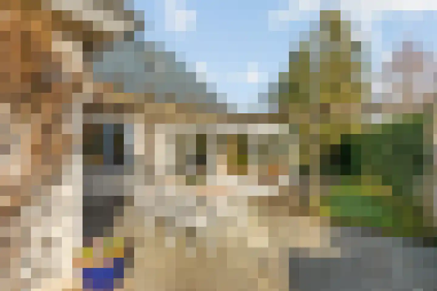 Holtrichter 9 Almelo thumbnail 25