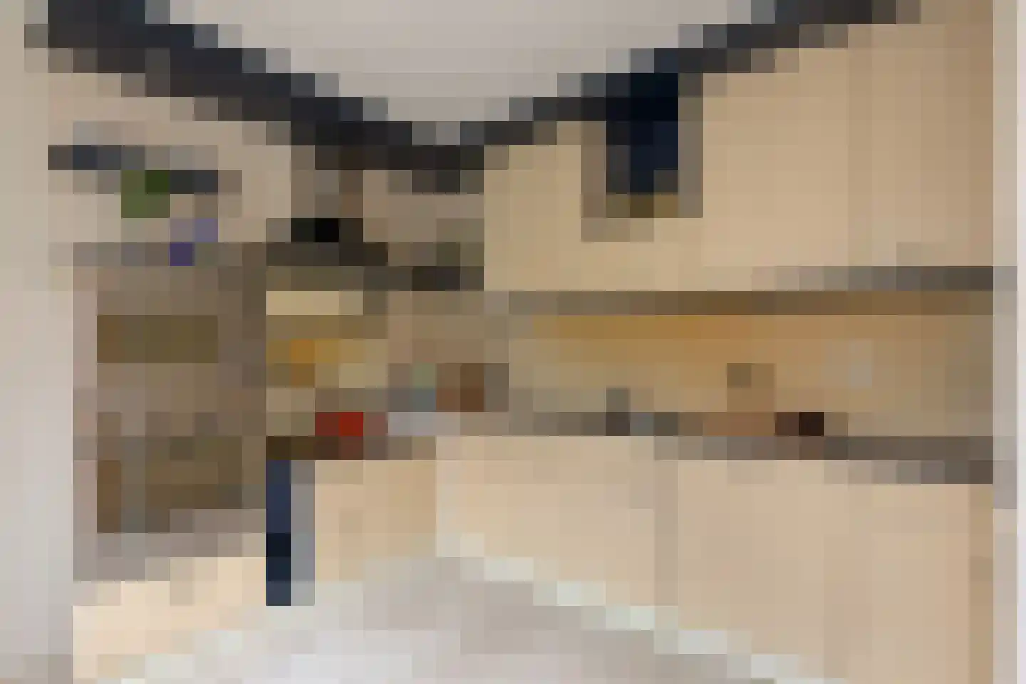 Holtrichter 9 Almelo thumbnail 8