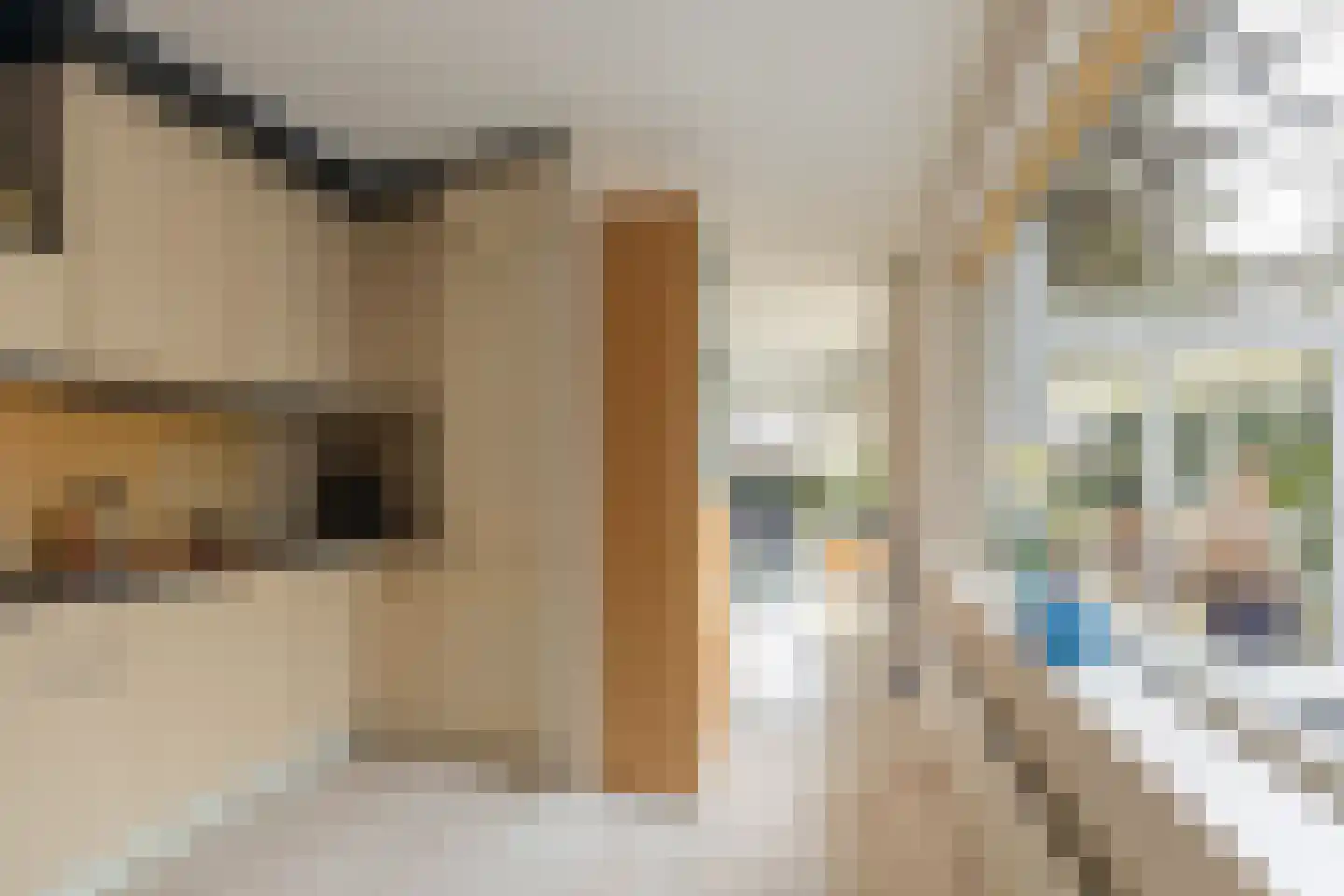 Holtrichter 9 Almelo thumbnail 9