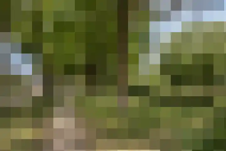 Holtrichtersveld 319 Apeldoorn thumbnail 21