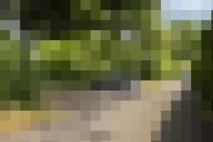 Holtrichtersveld 319 Apeldoorn thumbnail 22