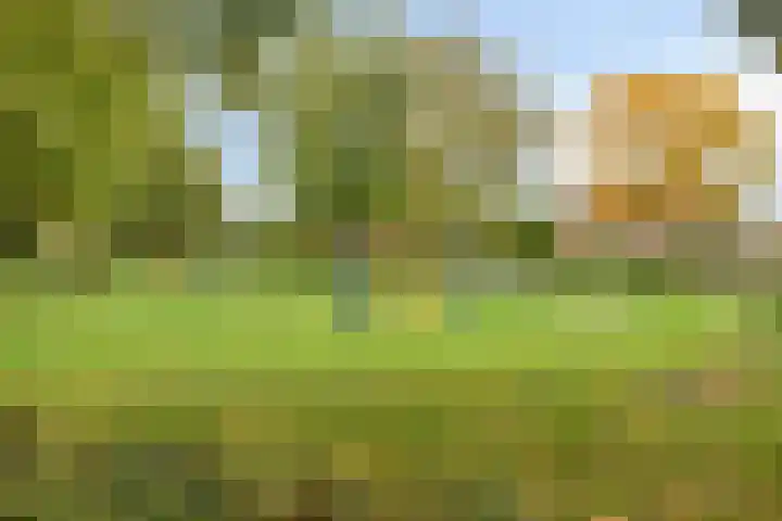 Holtrichtersveld 505 Apeldoorn thumbnail 27