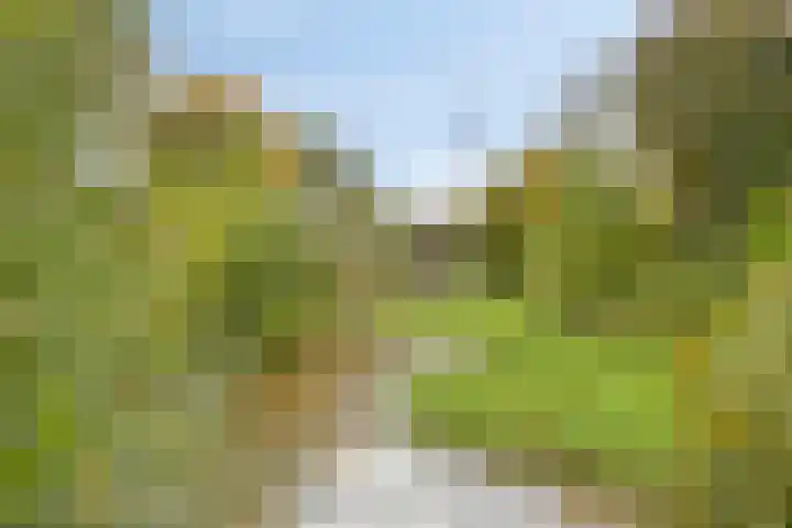 Holtrichtersveld 505 Apeldoorn thumbnail 28