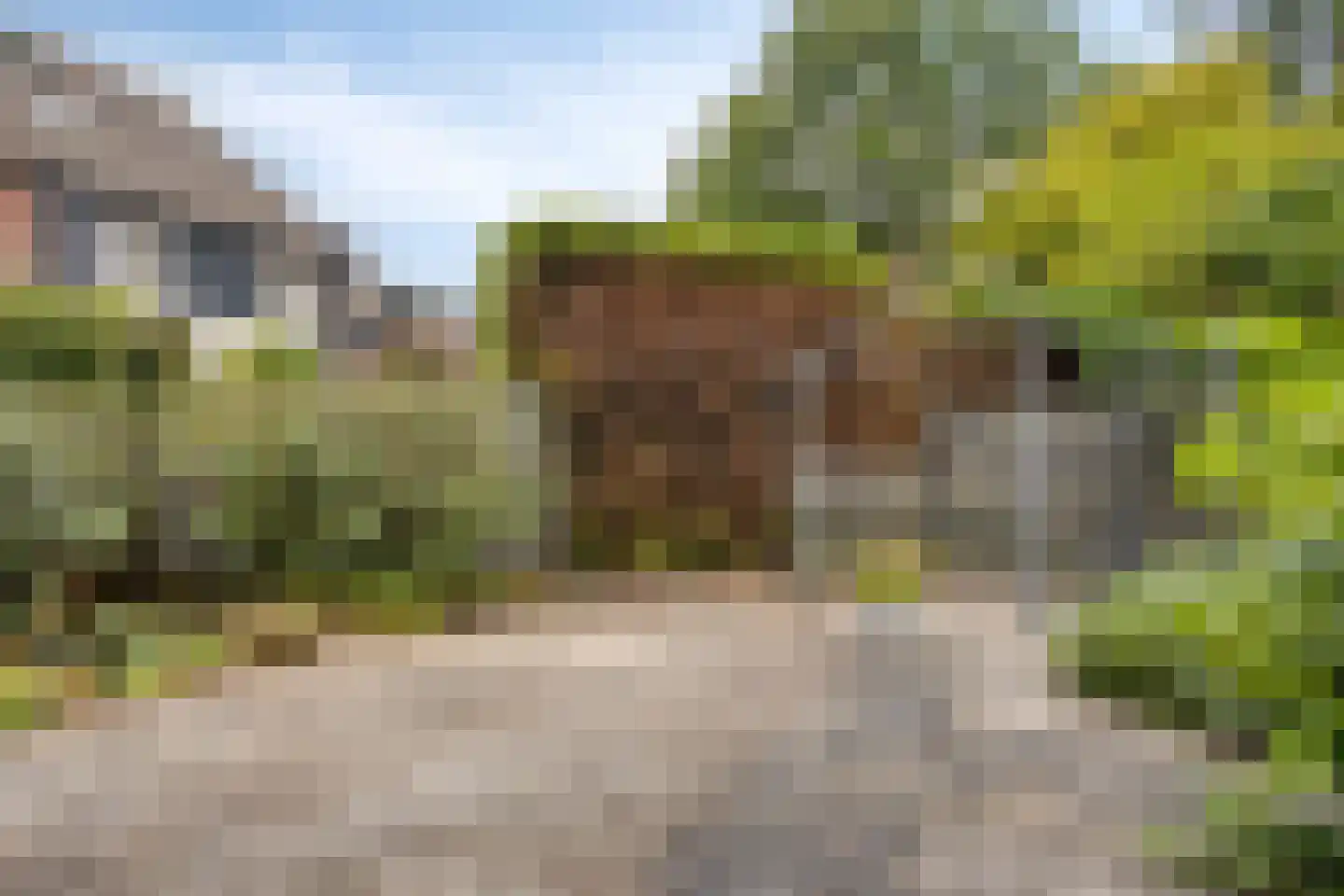 Holtrichtersveld 514 Apeldoorn thumbnail 27