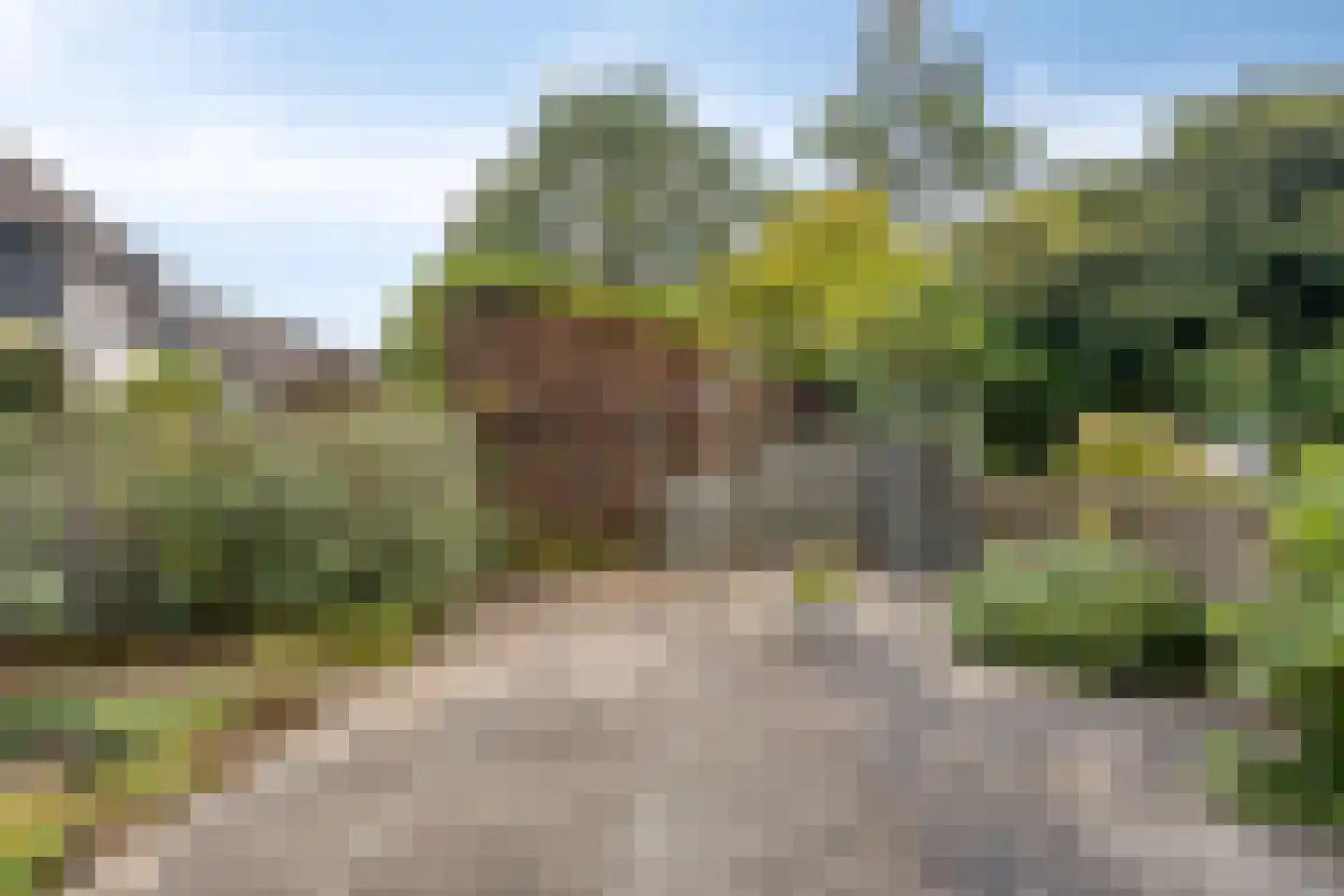 Holtrichtersveld 514 Apeldoorn thumbnail 28