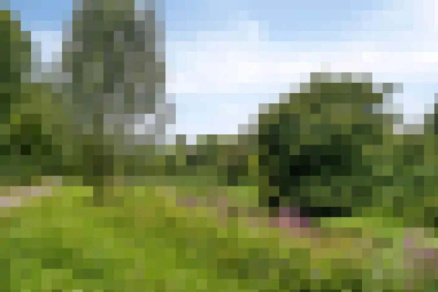 Holtrichtersveld 514 Apeldoorn thumbnail 31