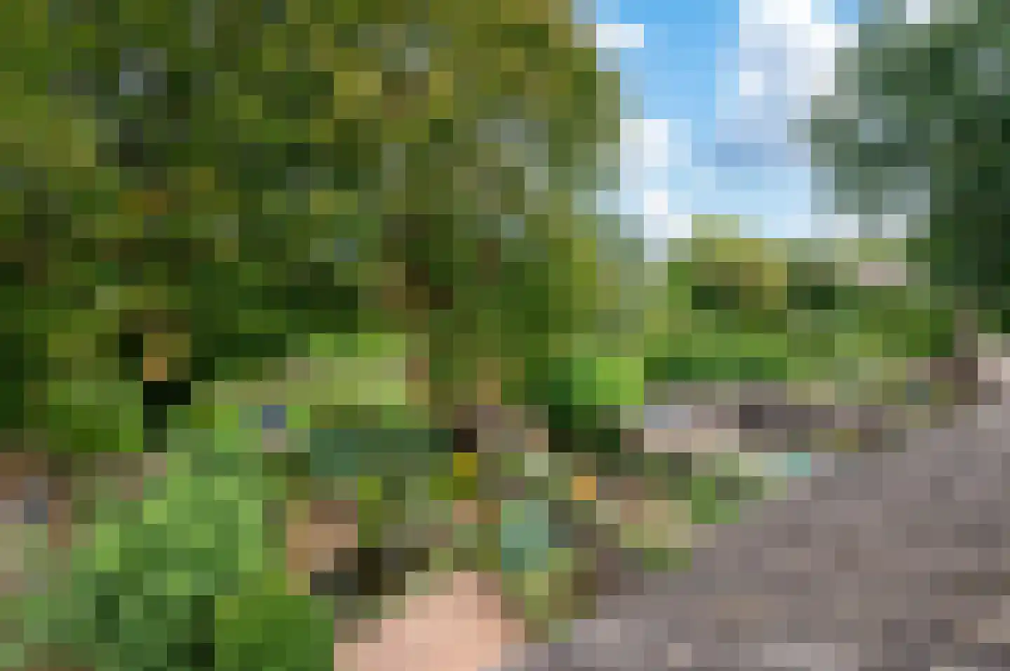 Holtrichtersveld 610 Apeldoorn thumbnail 27
