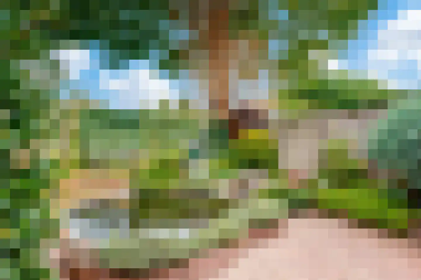 Holtrichtersveld 610 Apeldoorn thumbnail 29