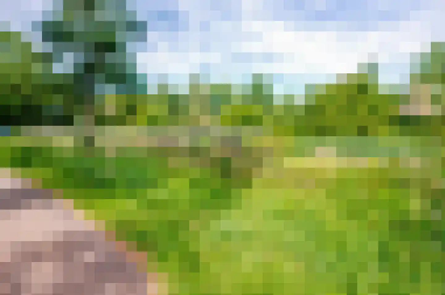 Holtrichtersveld 610 Apeldoorn thumbnail 34
