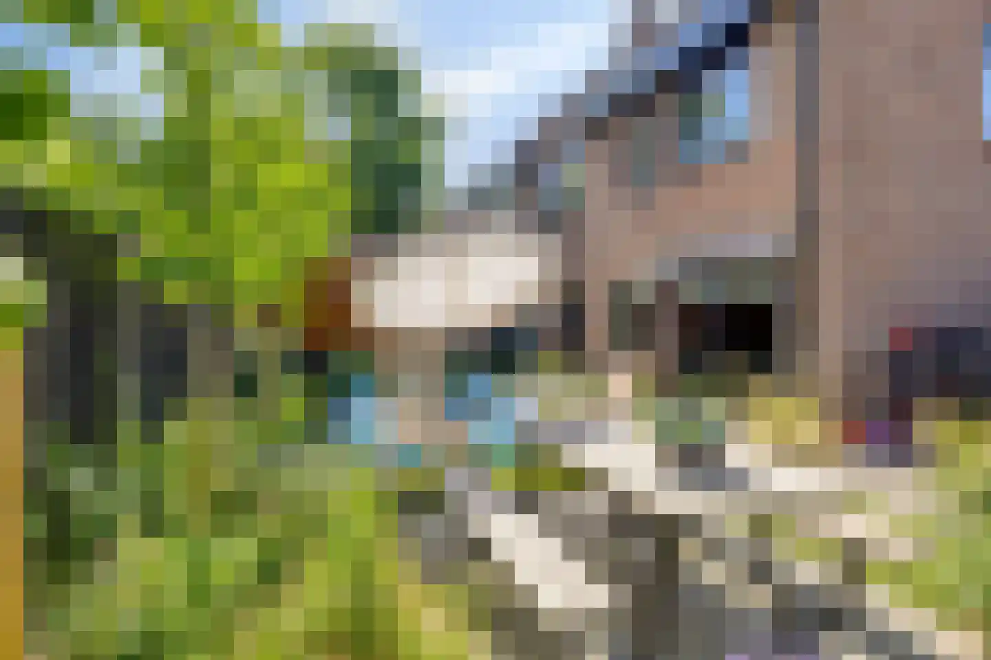 Holtrichtersveld 622 Apeldoorn thumbnail 33