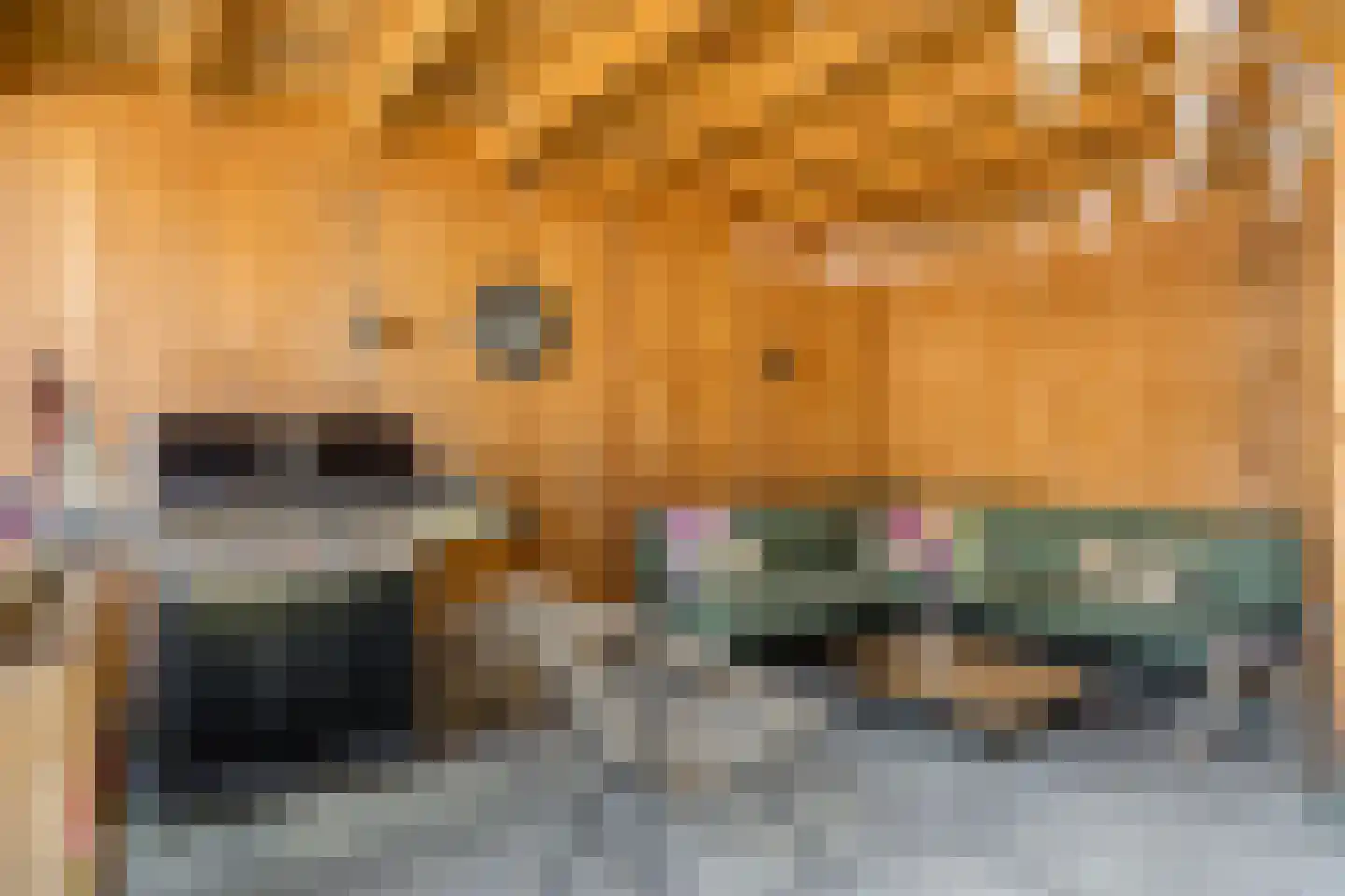 Holtrichtersveld 622 Apeldoorn thumbnail 36