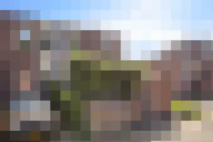 Holtrichtersveld 705 Apeldoorn thumbnail 23