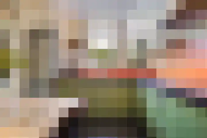 Holtrichtersveld 705 Apeldoorn thumbnail 8