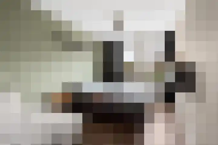 Holtrichtersveld 736 Apeldoorn thumbnail 17