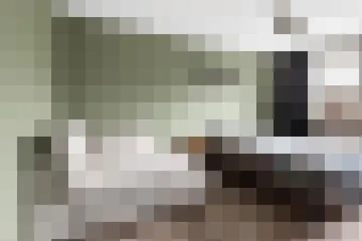 Holtrichtersveld 736 Apeldoorn thumbnail 18