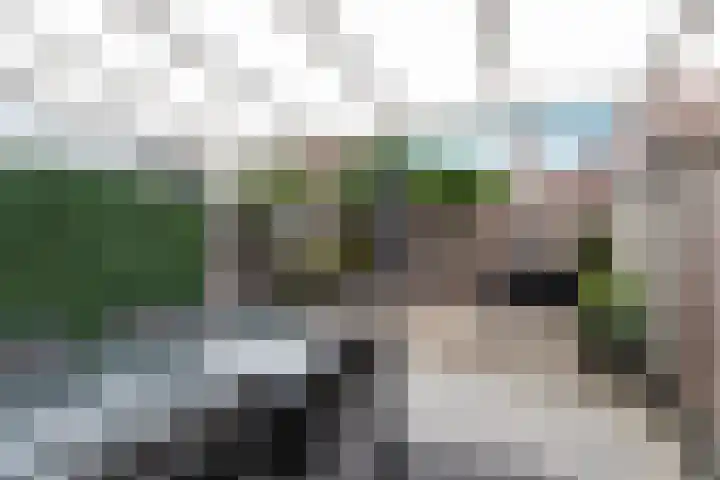 Holtrichtersveld 736 Apeldoorn thumbnail 24