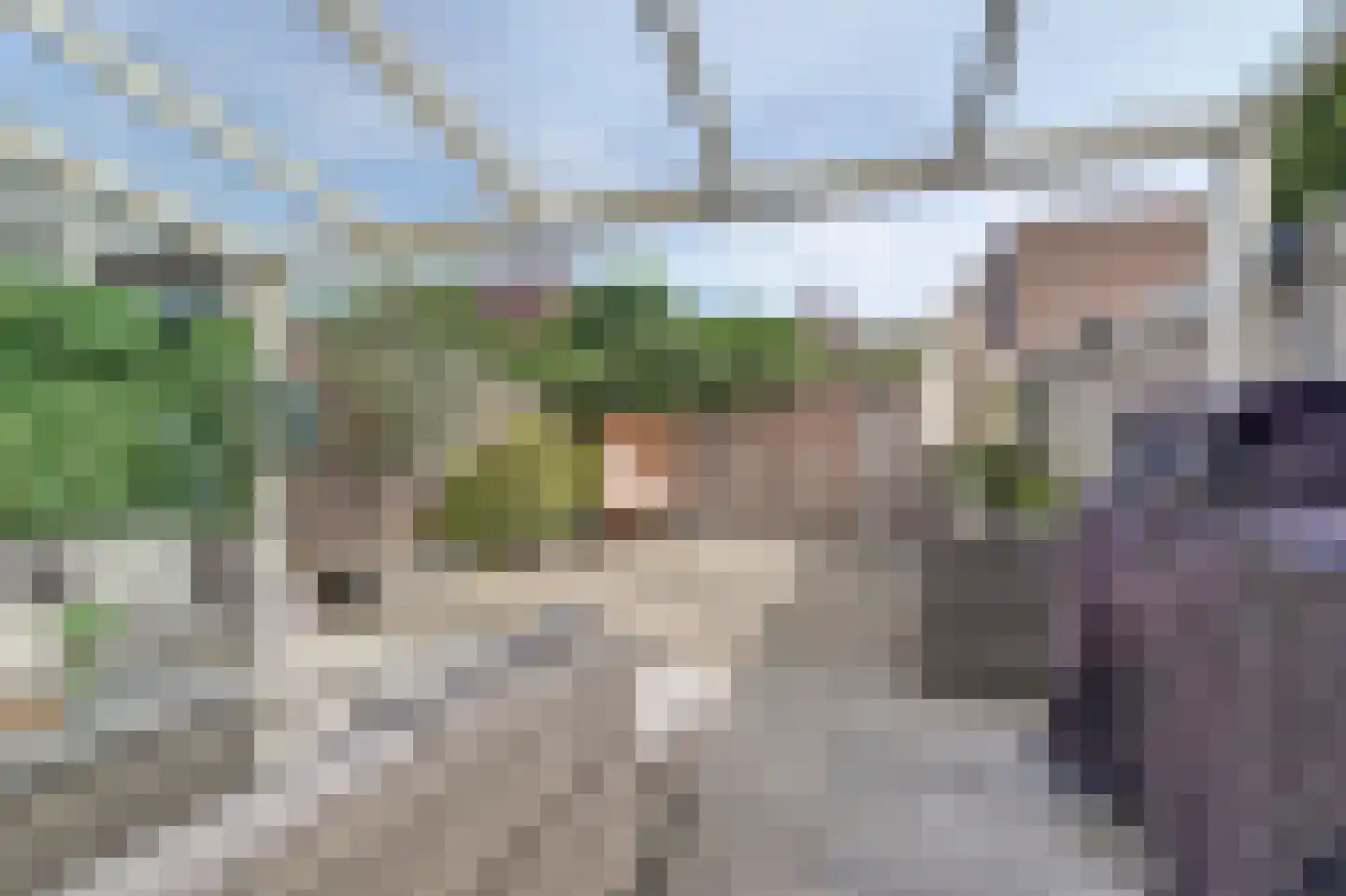 Holtrichtersveld 736 Apeldoorn thumbnail 41