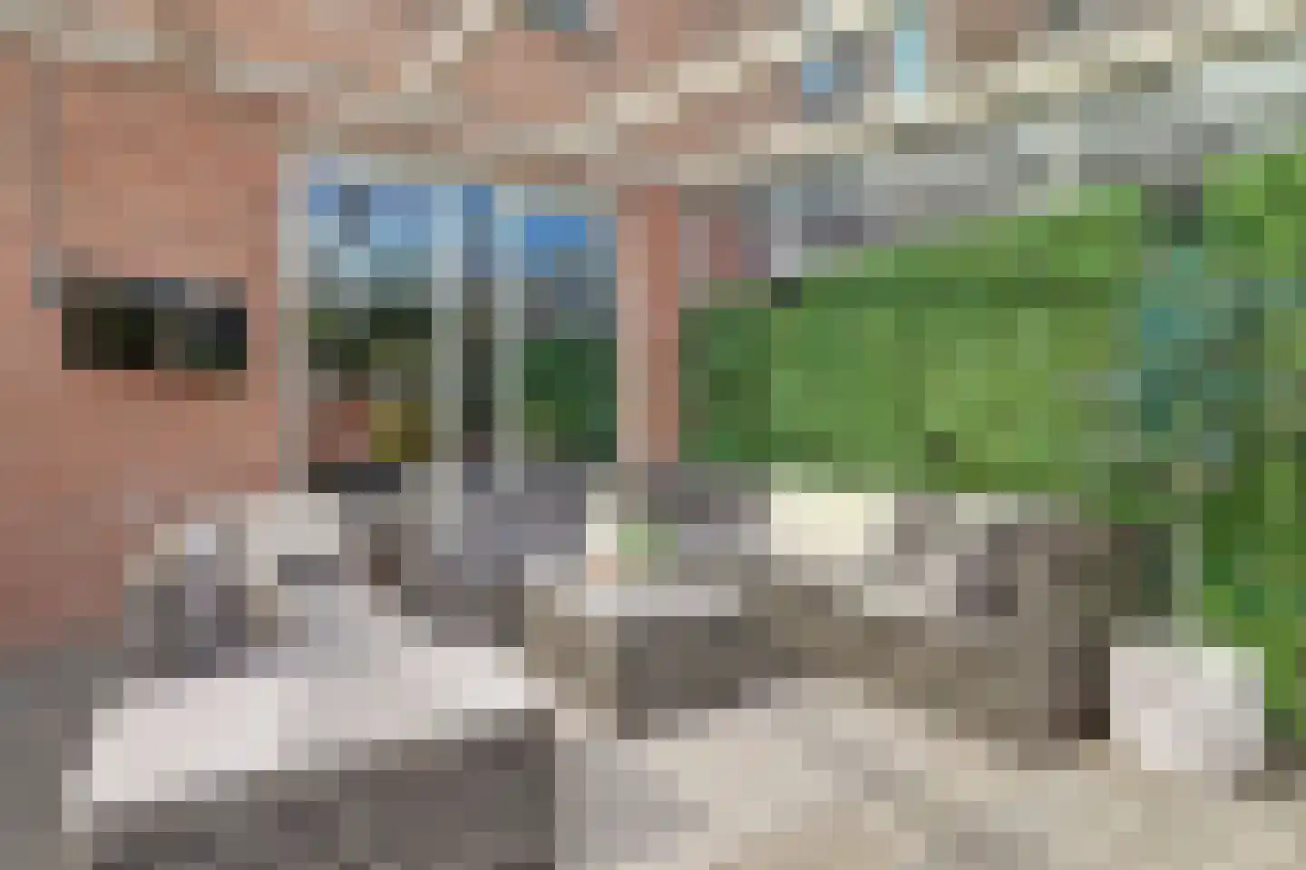 Holtrichtersveld 736 Apeldoorn thumbnail 45