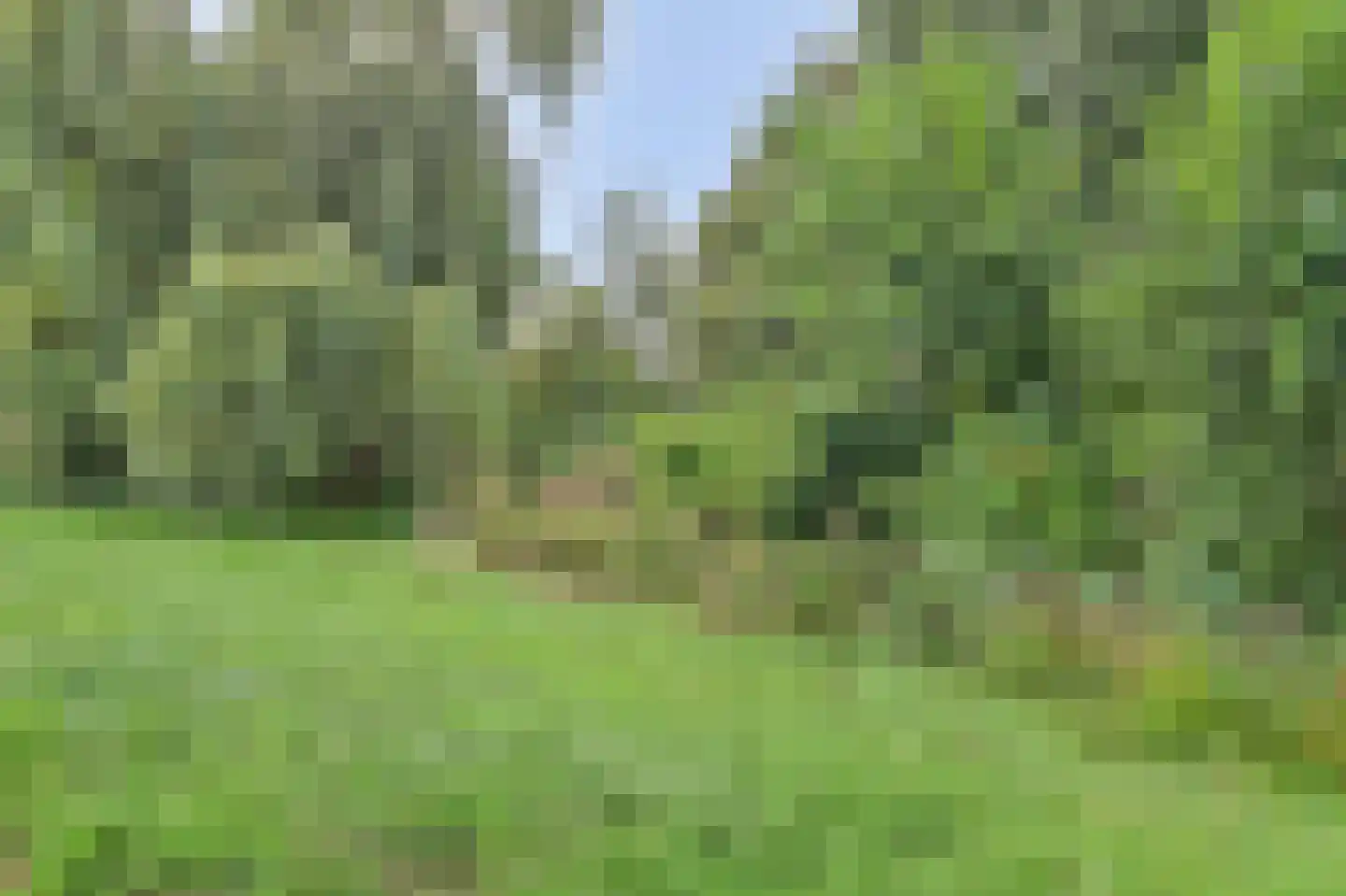 Holtrichtersveld 736 Apeldoorn thumbnail 47