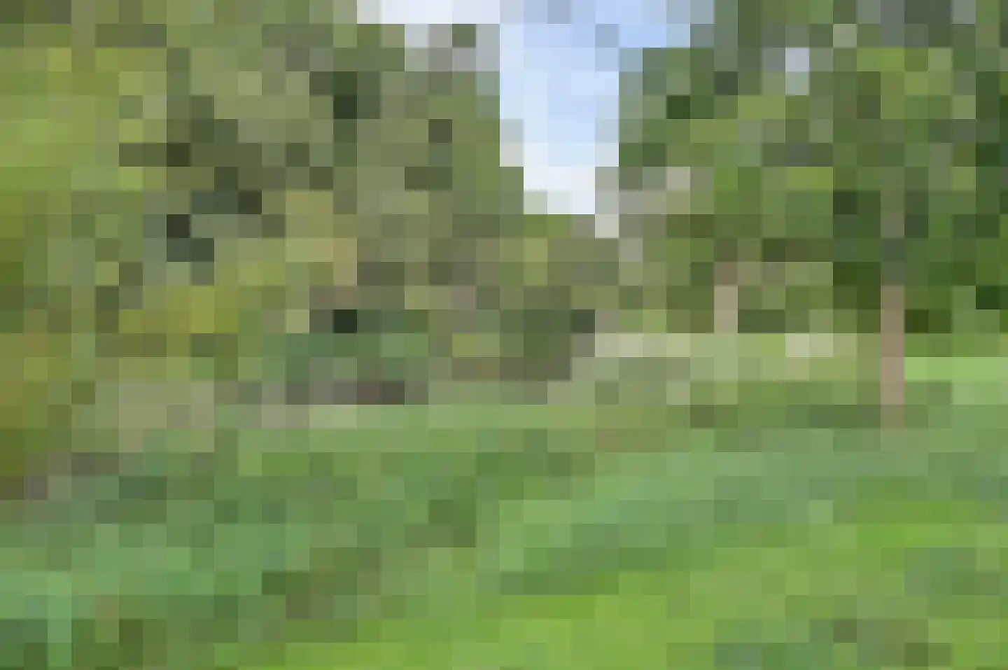 Holtrichtersveld 736 Apeldoorn thumbnail 48