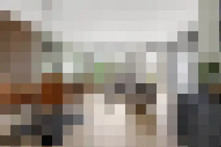 Holtrichtersveld 736 Apeldoorn thumbnail 5
