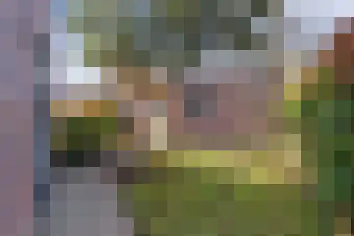 Holtrichtersveld 801 Apeldoorn thumbnail 20