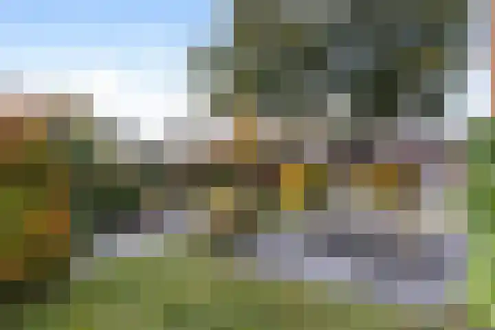 Holtrichtersveld 801 Apeldoorn thumbnail 22