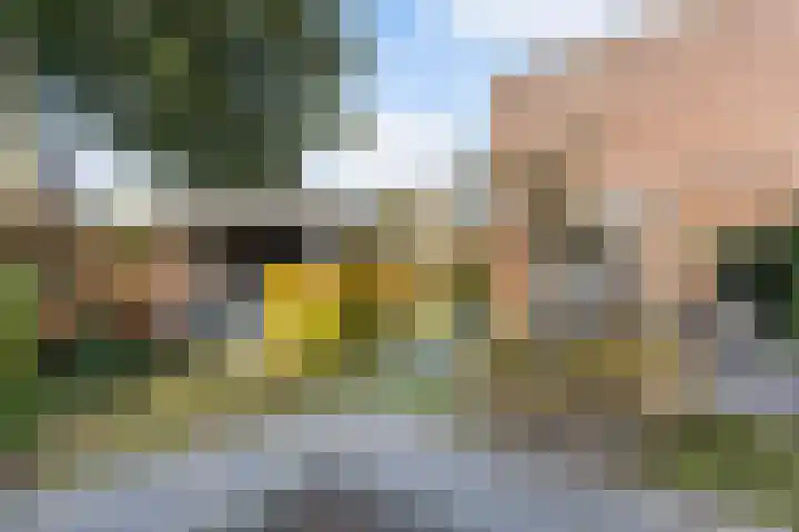 Holtrichtersveld 801 Apeldoorn thumbnail 23